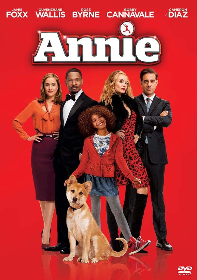 annie_2014_dvd_plakat