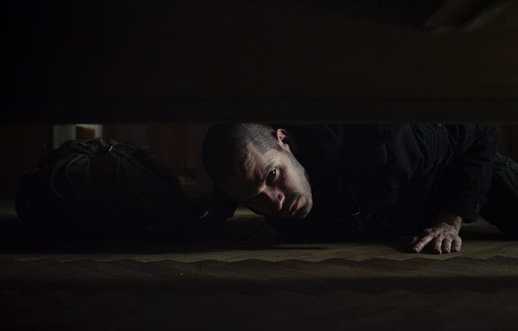 Čistič – recenze