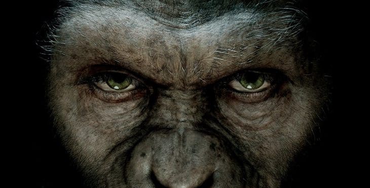 Odhalená oficiální synopse Dawn of the Planet of the Apes